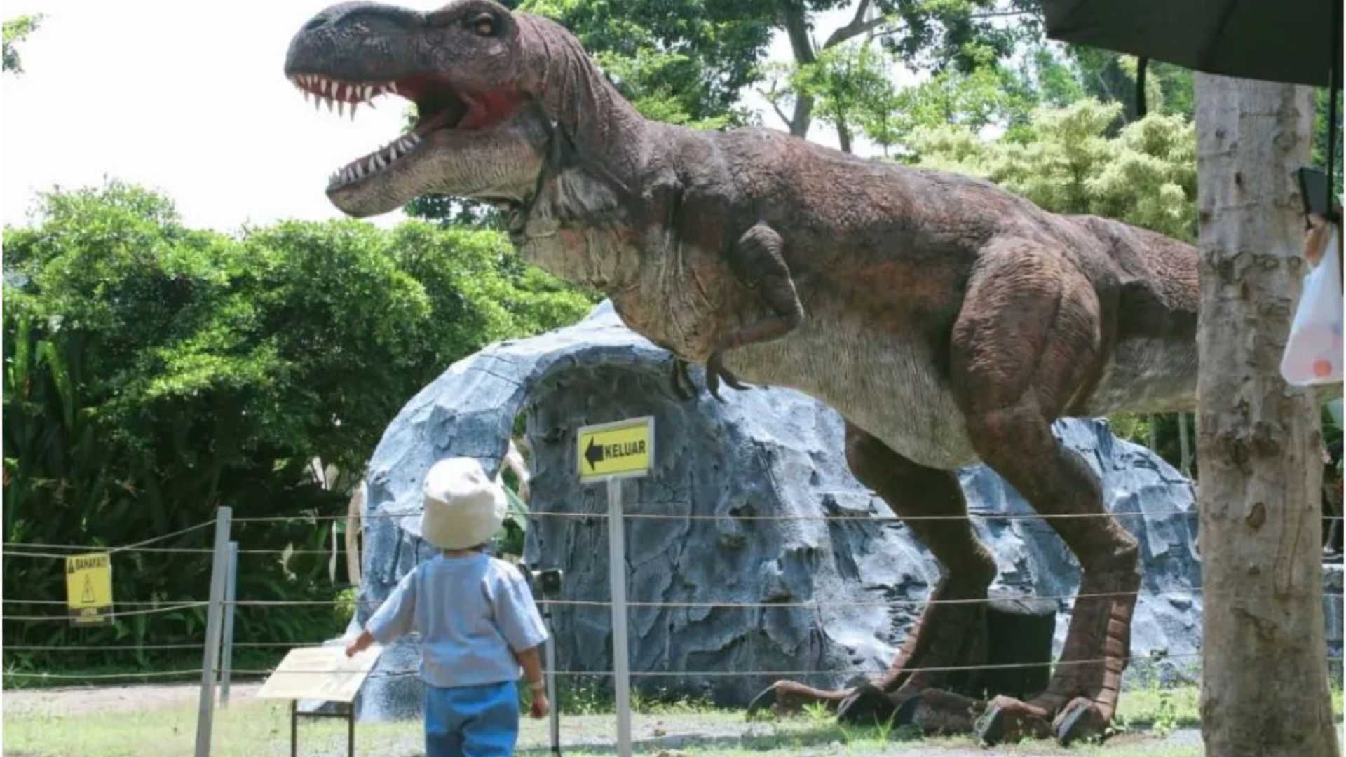 Rekomendasi Wisata Edukasi di Garut untuk Study Tour dan Keluarga